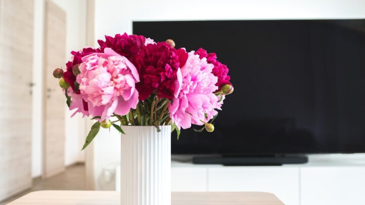 smart tv apps